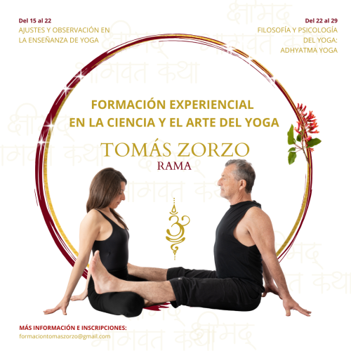 Feed IG Ávila 2026